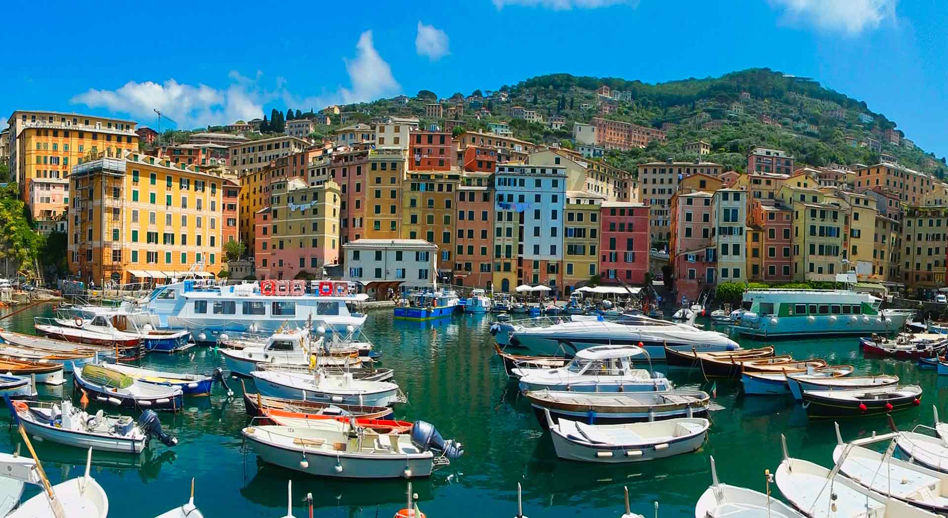 Sapori di Liguria. Acciughe liguri di Bel Fish Food: esclusivi piatti pronti, facili e veloci da preparare